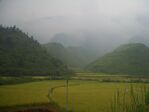 Tongshan-County-rice-fields-9881.jpg