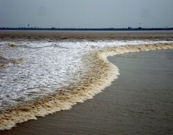 Tidal bore at the Qiantang river, Hangzhou.jpg