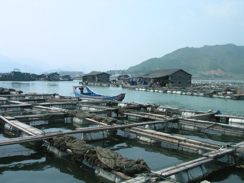 File:Aquaculture in Lo-nguong.jpg