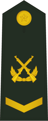 File:PLAGF-0704-SGT.png