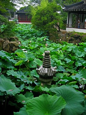 File:Humble admin garden suzhou small.jpg