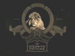 A Goldwyn Picture.jpg