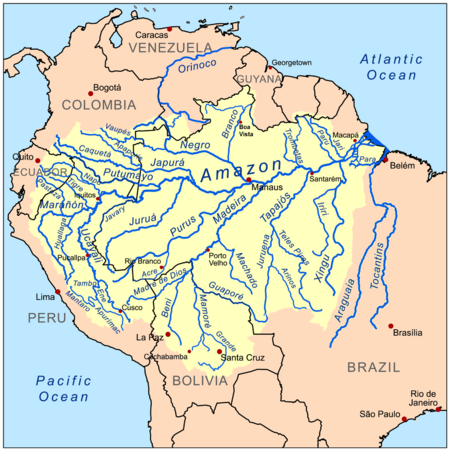 亚马逊河流域由大量支流组成，河水最终流入大西洋。而除了亚马逊河之外，上图还显示了亚马逊河的不同支流。