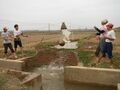 越南：人工提水灌溉