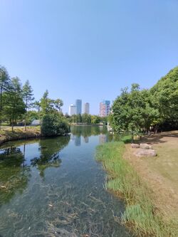 2022年10月 无锡尚贤河湿地公园 11.jpg