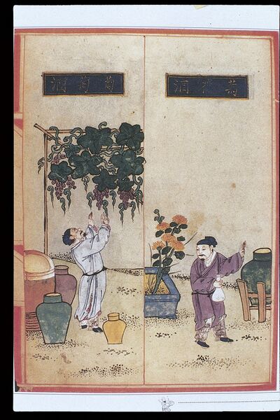 File:Chinese Materia Dietetica, Ming; Alcoholic beverages Wellcome L0039397.jpg