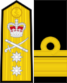 英国皇家海军少将肩章及袖章