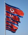 一排朝鮮國旗