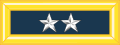 美国 Major General 蓝色军服肩章