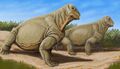 南非麝足兽复原图，属于恐头兽亚目貘头兽下目
