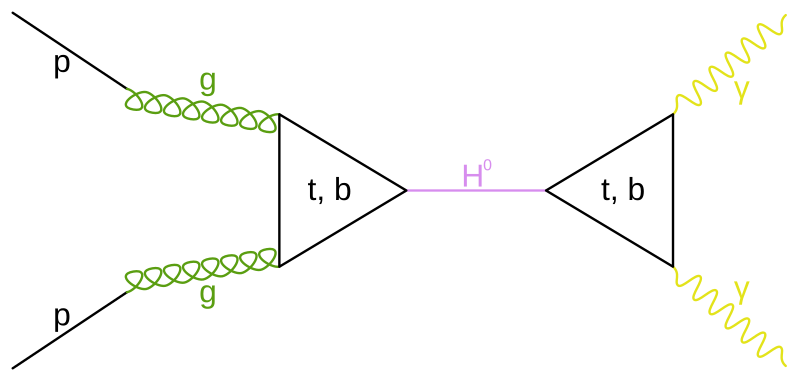 File:2-photon Higgs decay.svg