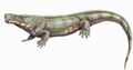 石炭纪末期至二叠纪早期的湖龙体长可达1.5米[12]，是地球上最早的陆栖大型四足食肉动物