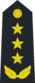 07式海军上将肩章