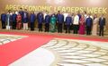 亞太經合會2017年越南峰會