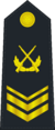 海軍三級軍士長
