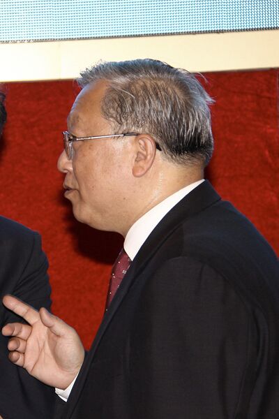 File:Chinese Academy of Sciences Annual Meeting 2009 (cropped) Lu Yongxiang.jpg