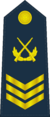 空軍二級軍士長