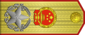 中華人民共和國大元帥肩章