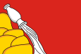 沃罗涅日州旗帜