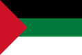 阿拉伯管理机构旗帜(1918–1920)