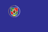 卢甘斯克州旗帜