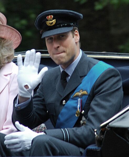 File:Prince William of Wales RAF.jpg