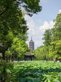 2022年8月，江蘇蘇州拙政園和北寺塔