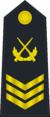 海軍二級軍士長