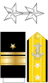 美國海軍少將(RADM)肩章及袖章
