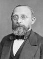 鲁道夫·菲尔绍 Rudolf Virchow （1821－1902）