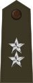 美国 Major General 绿色军服肩章