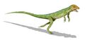 真双足蜥属复原图，是目前已知最早的二足脊椎动物，属于副爬行动物前棱蜥形目波罗蜥科