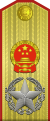 中華人民共和國大元帥