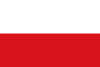 波希米亚旗帜