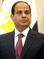  埃及 总统阿卜杜勒-法塔赫·塞西