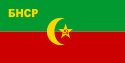 布哈拉人民苏维埃共和国国旗