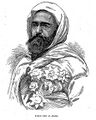 阿爾及利亞的民族英雄阿卜杜卡迪爾（1807年－1883年），帶領奧蘭省的各阿拉伯部族，與法國人作長期抗爭