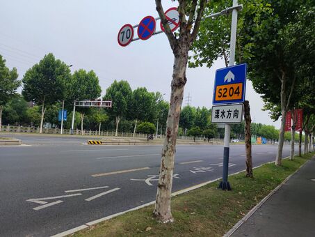 2022年7月，江蘇省南京市江寧區的204省道