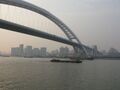 黃浦江上建有盧浦大橋等9座大橋，以及10餘條隧道。