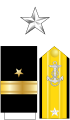 美国海军少将(RDML)肩章及袖章