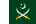 Flag of the Pakistan Army