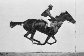 一段显示一匹马飞奔，骑在它背上的骑师的动画片断