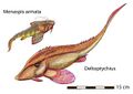 （复原图）左上：颊甲鲛属，右下：三角褶鲛属，属于颊甲鲛目