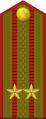 前苏联红军陆军中校肩章(1943~1955)