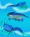 生存于寒武纪晚期的寒武厚桨虾科，其外观特别怪异，是典型的奥斯坦型化石。图为该科的模式属[8]