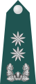 韩国陆军中校肩章