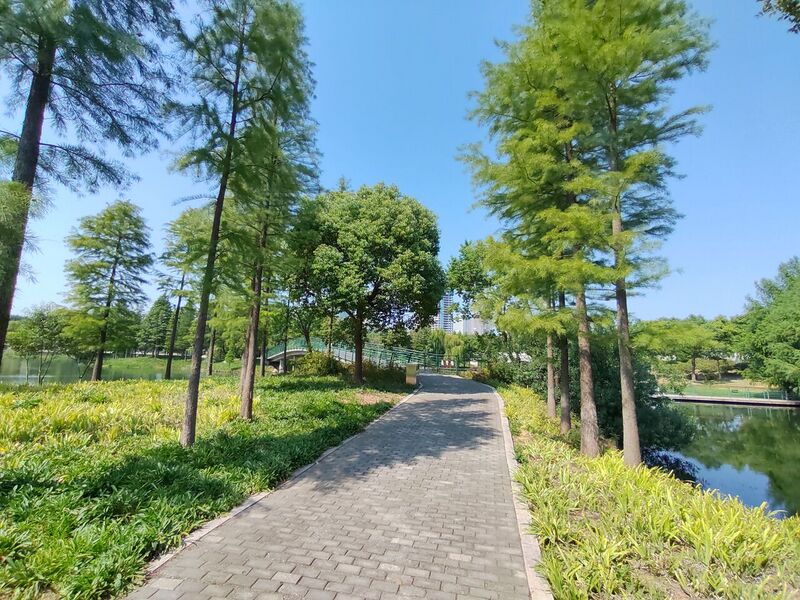 File:2022年10月 无锡尚贤河湿地公园 09.jpg